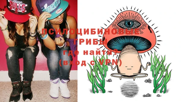 PSILOCYBIN Балахна