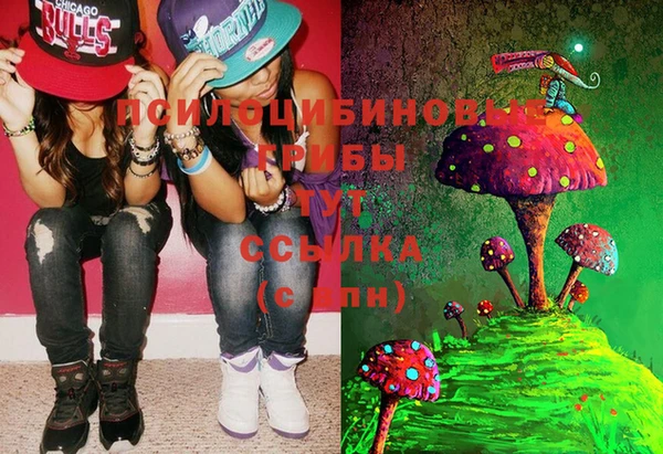 PSILOCYBIN Балахна